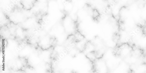 White and black Stone ceramic art wall interiors backdrop design. abstract light elegant black for do floor ceramic counter texture stone slab smooth tile gray silver natural for interior decoration.