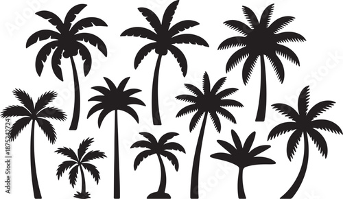 Set of Palm Tree Silhouette Vector Illustration – Black and White Tropical Clipart