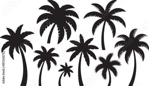 Set of Palm Tree Silhouette Vector Illustration – Black and White Tropical Clipart