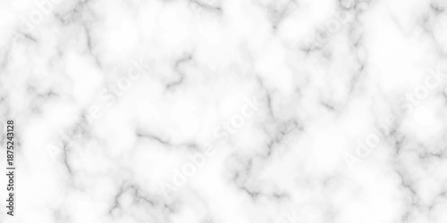 White and black Stone ceramic art wall interiors backdrop design. abstract light elegant black for do floor ceramic counter texture stone slab smooth tile gray silver natural for interior decoration.