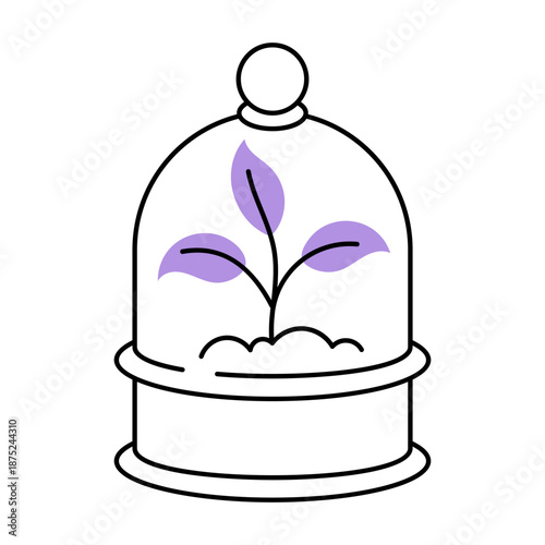 A hand drawn style illustration showing plant dome