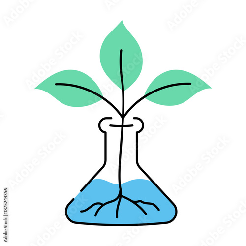 A doodle style illustration showing hydroponics