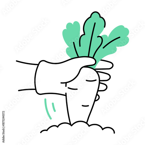 A hand drawn style illustration showing radish