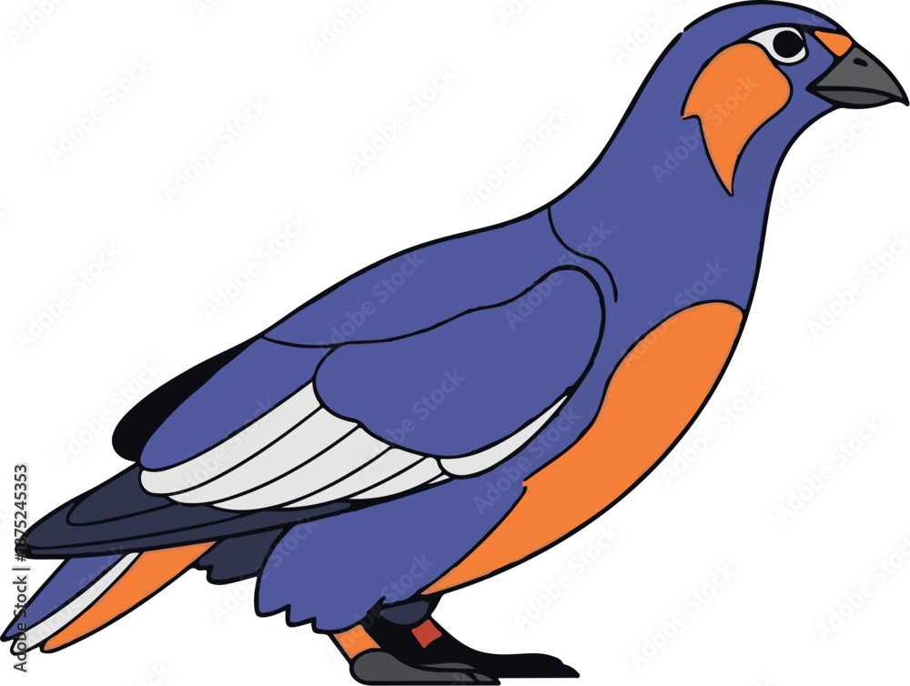 Obraz premium A cartoon bird with purple body, orange chest, and dark tail feathers