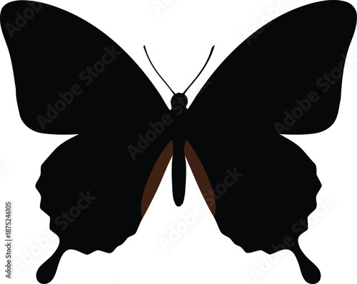 Black butterfly silhouette with orange accents on white background