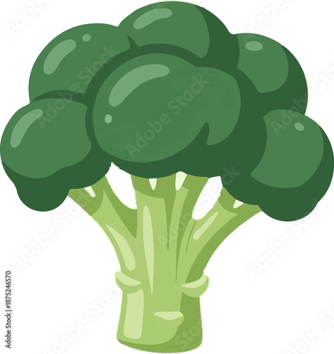 A cartoon-style, green broccoli head with a thick stalk, on a white background