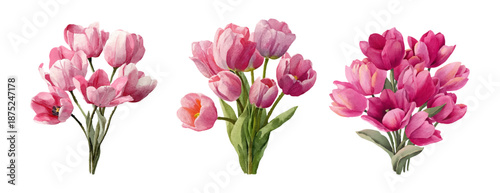 Watercolor pink tulip bouquet illustration with realistic flowers and green leaves. Spring floral set perfect for Easter cards, March 8 designs, or botanical art projects. Vector illustration.