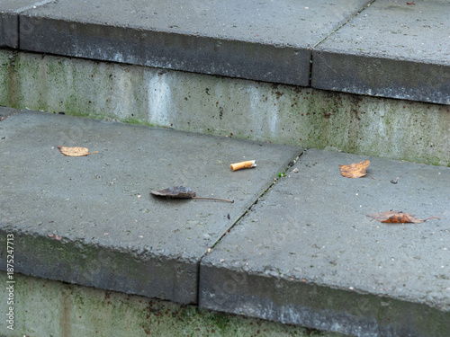 Obraz na plátne A wet concrete stair with fallen leaf and a single cigarette butt, suggesting an