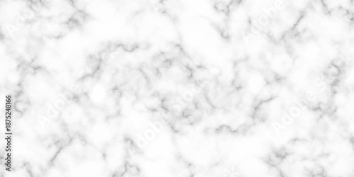 White and black Stone ceramic art wall interiors backdrop design. abstract light elegant black for do floor ceramic counter texture stone slab smooth tile gray silver natural for interior decoration.