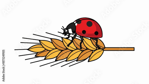 A red ladybug with black spots walks on a stalk of golden wheat