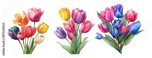 Spring flower collection featuring watercolor tulips in vibrant colors. Isolated floral bouquet set with realistic blooms, ideal for greeting cards, Easter decorations, and flower designs. 