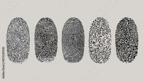 set of human fingerprint vector illustration  texture 