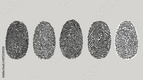 set of human fingerprint vector illustration  texture 