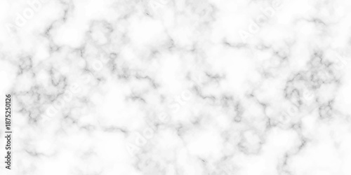 White and black Stone ceramic art wall interiors backdrop design. abstract light elegant black for do floor ceramic counter texture stone slab smooth tile gray silver natural for interior decoration.