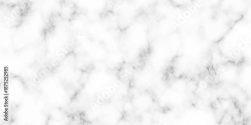 White and black Stone ceramic art wall interiors backdrop design. abstract light elegant black for do floor ceramic counter texture stone slab smooth tile gray silver natural for interior decoration.