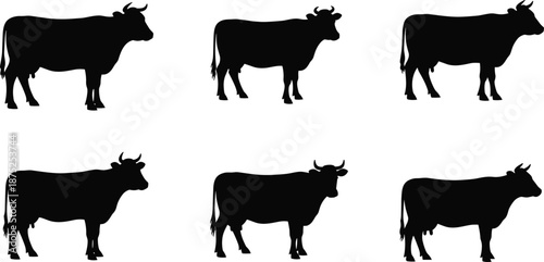 Black cow silhouette set, farm animal collection, livestock shapes, cattle icons, rural agriculture design, beef dairy illustration, isolated animals