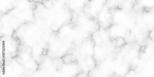 White and black Stone ceramic art wall interiors backdrop design. abstract light elegant black for do floor ceramic counter texture stone slab smooth tile gray silver natural for interior decoration.