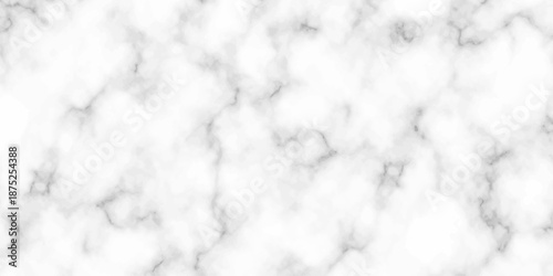 White and black Stone ceramic art wall interiors backdrop design. abstract light elegant black for do floor ceramic counter texture stone slab smooth tile gray silver natural for interior decoration.