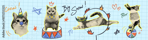 Halftone circus doodle cats on grid background. Vector realistic illustration of funny pets playing with hand drawn clown nose, jumping through a ring of fire, cute pet meme art, collage stickers