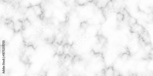 White and black Stone ceramic art wall interiors backdrop design. abstract light elegant black for do floor ceramic counter texture stone slab smooth tile gray silver natural for interior decoration.