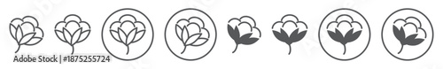 Cotton icon set in line and solid styles, isolated on transparent background. Features cotton flower symbols ideal for textile, fabric, and eco-friendly projects with editable stroke.
