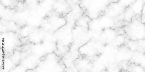 White and black Stone ceramic art wall interiors backdrop design. abstract light elegant black for do floor ceramic counter texture stone slab smooth tile gray silver natural for interior decoration.