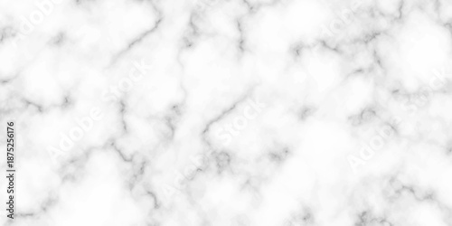 White and black Stone ceramic art wall interiors backdrop design. abstract light elegant black for do floor ceramic counter texture stone slab smooth tile gray silver natural for interior decoration.