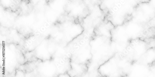 White and black Stone ceramic art wall interiors backdrop design. abstract light elegant black for do floor ceramic counter texture stone slab smooth tile gray silver natural for interior decoration.