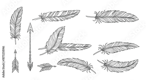 Detailed hand-drawn set of various feathers and tribal arrows in a vintage engraved style for decorative projects and crafts.