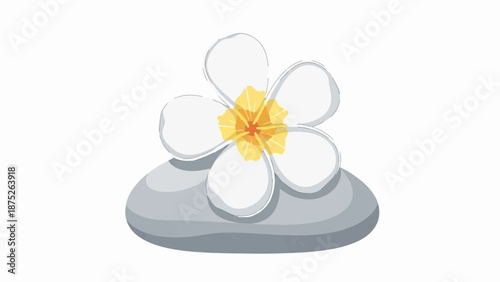 A single white flower with yellow and orange center rests on smooth gray stones