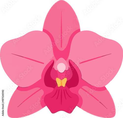 A stylized illustration of a vibrant pink orchid with a yellow center