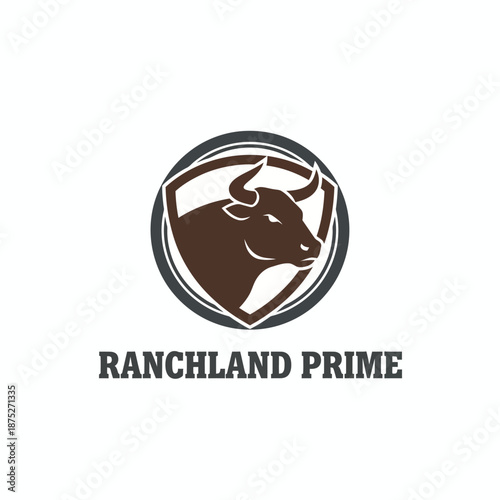 Professional Bull Head Ranch Logo Design