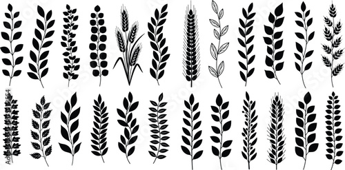 Assortment of stylized botanical elements featuring various leaf branches and cereal grain stalks in silhouette form