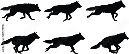 Running wolf silhouette sequence, animal motion, stride phases, wildlife movement, biomechanics, animation reference, black vector illustration set