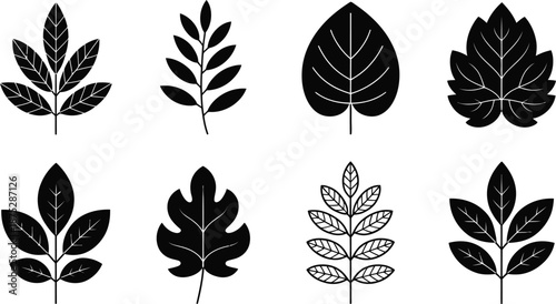 Diverse Botanical Leaf Shape Silhouettes