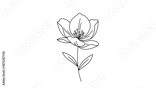 A simple black and white line drawing of a flower with leaves on a plain white background from a straightforward front viewpoint