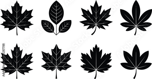 Botanical and Leaf Silhouette Sets