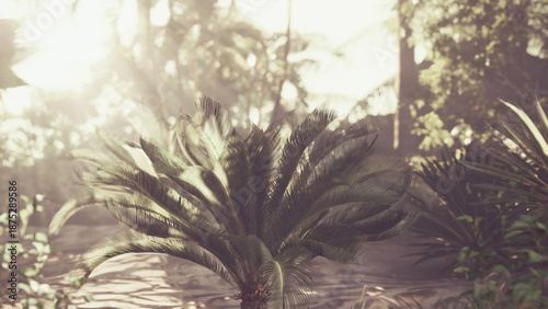 Fotografija Warm sunlight filters through the vibrant leaves of tropical plants, creating a peaceful atmosphere in this lush garden