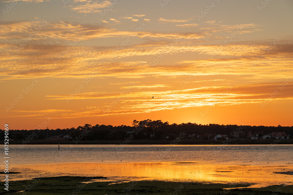 Obraz premium Wide view of coastal wetland with lagoon channels during sunset Furadouro Portugal, Ovar – Furadouro, 12 November 2025