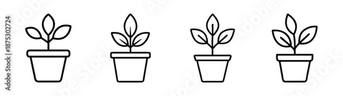 Four potted plants vector illustration, minimalist plant drawing, simple plant design, black outline