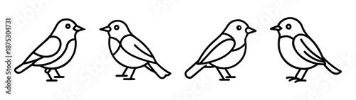 Four bird outline illustration vector image for coloring page birdwatching and nature lovers design 