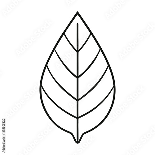 Simple green leaf icon symbolizing nature, freshness, and sustainability. Clean lines and minimal design make it ideal for eco, organic, and environmental themes.
