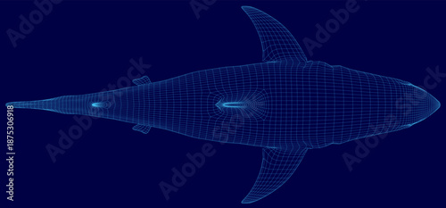 A great white shark wireframe model is realistically rendered in 3D on a solid blue background. Top view
