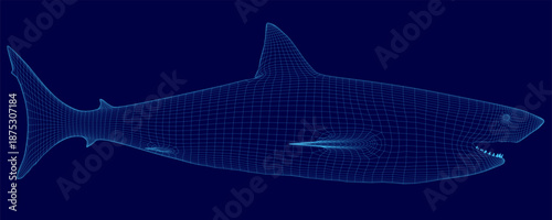 A detailed 3D wireframe model of a great white shark is displayed on a solid blue background. The realistic mesh structure highlights the predator's powerful anatomy. Side view