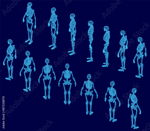 A set of human skeleton wireframes arranged symmetrically on a stark blue background. Each unique anatomical form is clearly defined by the high-contrast composition. Isometric view