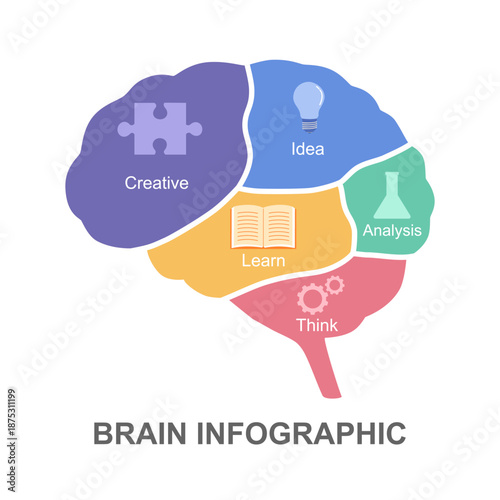 Info-graphics brain design template. Split into five parts. Vector illustration isolated on white background.