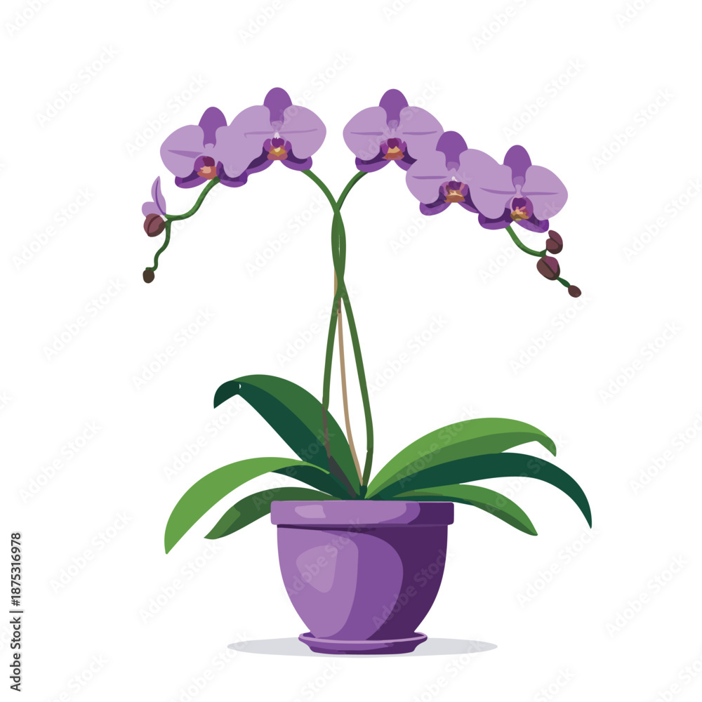 Naklejka premium Purple Phalaenopsis Orchid in Pot Flat Vector Illustration