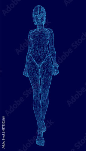 A wireframe model of a woman in a swimsuit demonstrates digital design and 3D modeling concepts. Front view