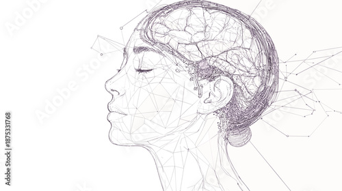 Human Head with Visible Brain Structure.