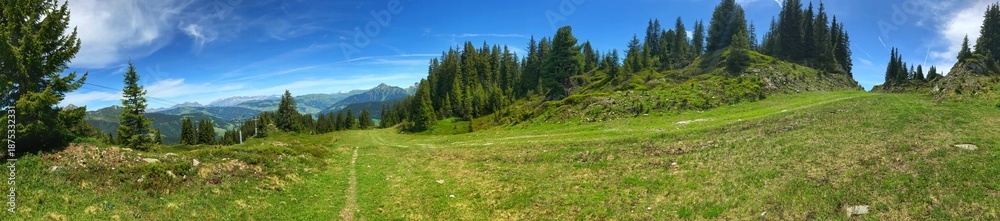 Fototapeta premium Panoramic view of a lush alpine meadow and forest landscape in spring